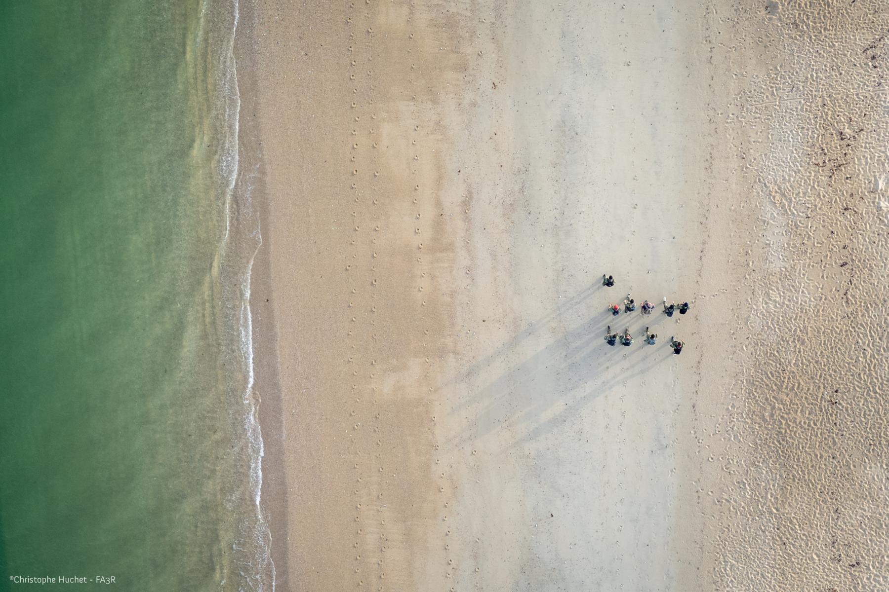 Vue drone zénithale de personnes sur le sable fin bordé d’eau turquoise avec ombres portées allongées